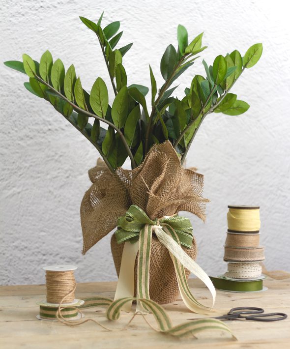 What's floristry got to do with potted plants 2