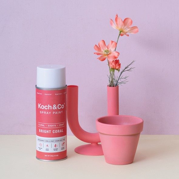 bright coral spray paint