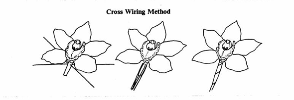 basic flower wiring techniques - cross wiring method