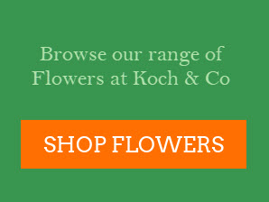 Shop Flowers