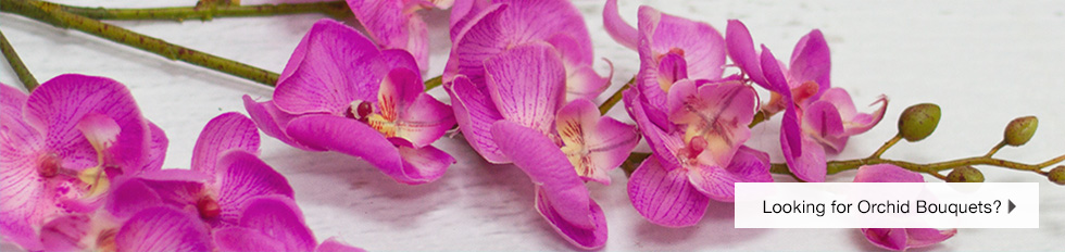 Artificial Orchids Buy Artificial Orchids In Pots Online Koch Co