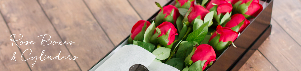 Acetate Rose Cylinders Cones Gift Packaging Koch Co